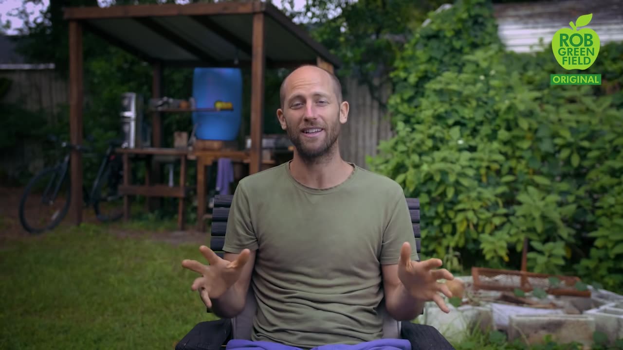 How to Grow food ? Like @Robin Greenfield Grew & Foraged food 100% of food for entire an year !!!