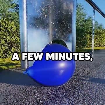 The wife was suspicious...OMG