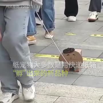 Νέα τάση, τα χάρτινα κατοικίδια ζωάκια που "υιοθετεί" η νεολαία