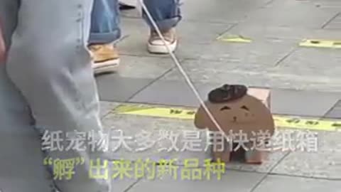 Νέα τάση, τα χάρτινα κατοικίδια ζωάκια που "υιοθετεί" η νεολαία