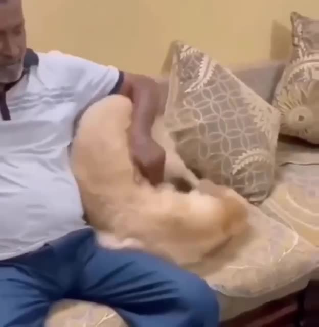 Completely by accident