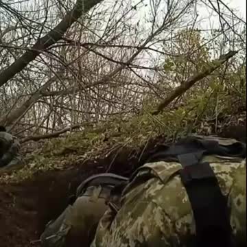 😵‍💫 THEY’RE NOT DIGGING It