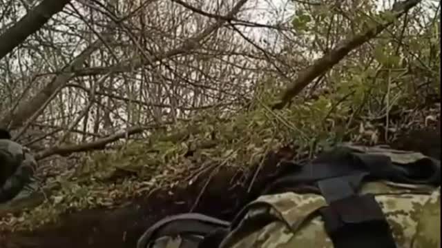 😵‍💫 THEY’RE NOT DIGGING It