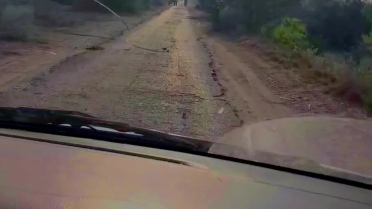 morning time in village