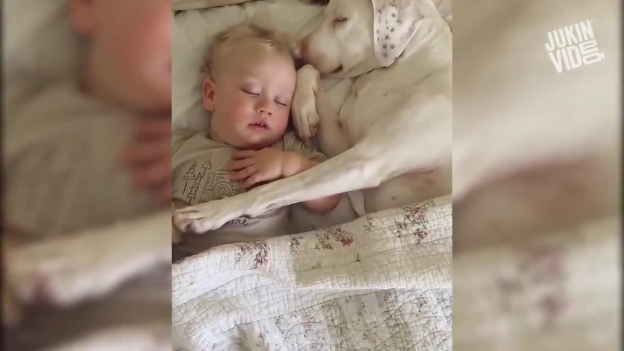 Cute baby playing with dogs