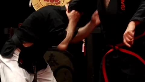 Kuk Sool Kwan Hapkido