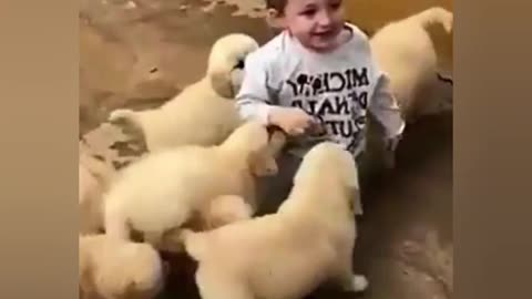 How Dogs Love Kids, Soo Cute