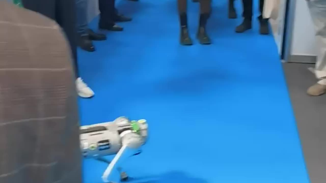 Robot and dog