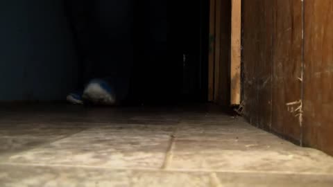 Paranormal nightmare season 2 episode 3