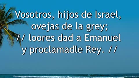 241 - Loores dad a Cristo el Rey