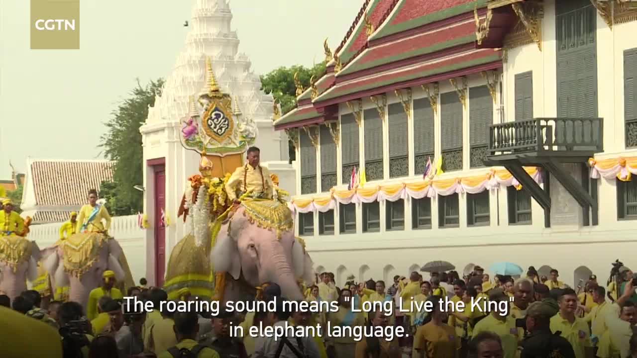 Elephants pay homage to Thailand's new king