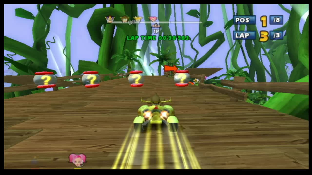 Sonic and Sega All-Stars Racing Race110