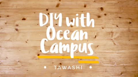 DIY Tawashi