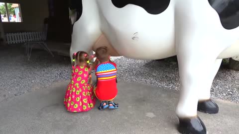 Diana and Roma play with Dad at farm sheep, fun family trip-19