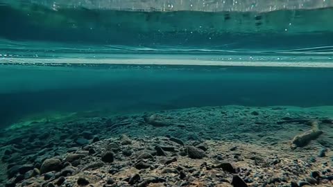 🤯 It’s like falling into another dimension when you see under the ice and layers of snow ❄️ 💙