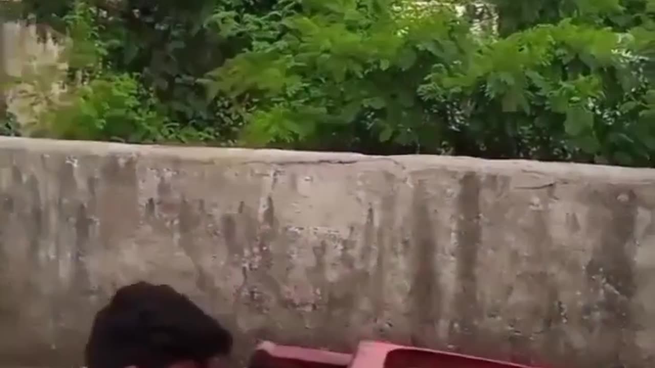 Funny chair fall