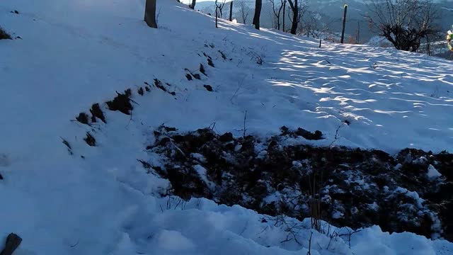 Огород зимой