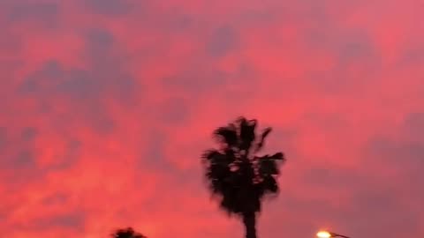 California sunset 🤍🇺🇸😍