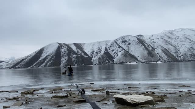 Courageous Deer Rescue on Thin Ice