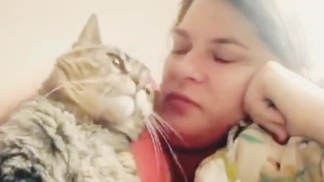 Cat's love with owner