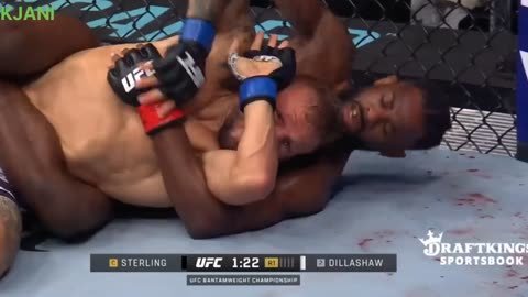 Aljamain Sterling vs TJ Dillashaw _ FREE FIGHT _ UFC 292