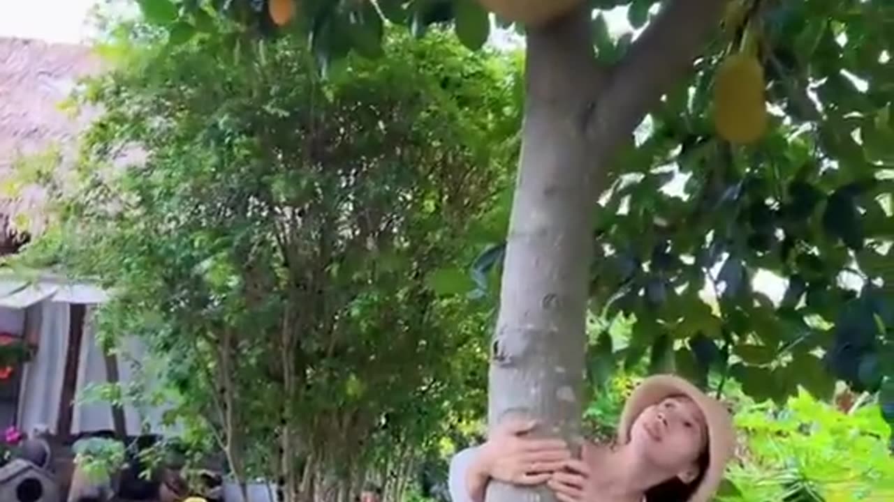 Enjoy Beautiful Nature With Rural Life Part:2