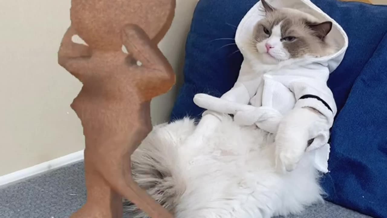 Show Puff your dance moves__thatlittlepuff dancewihtpuff