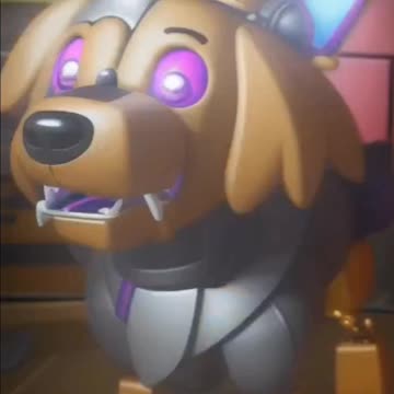 The barking is out of control