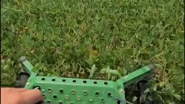 Destroying crops