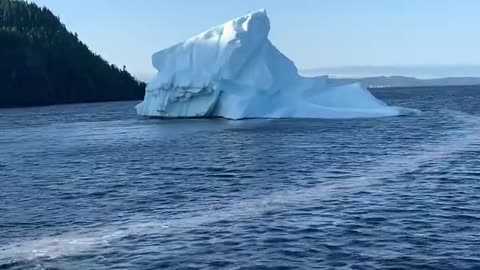 Iceberg In Goodyears Cove