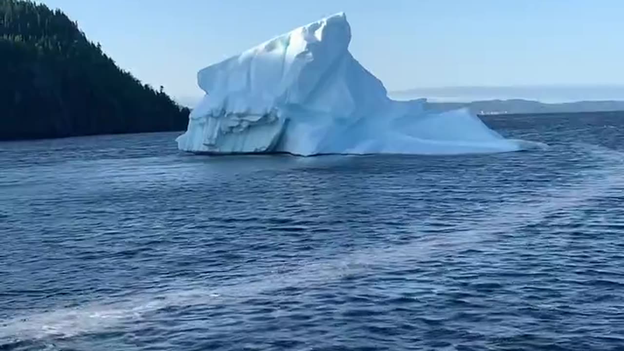Iceberg In Goodyears Cove