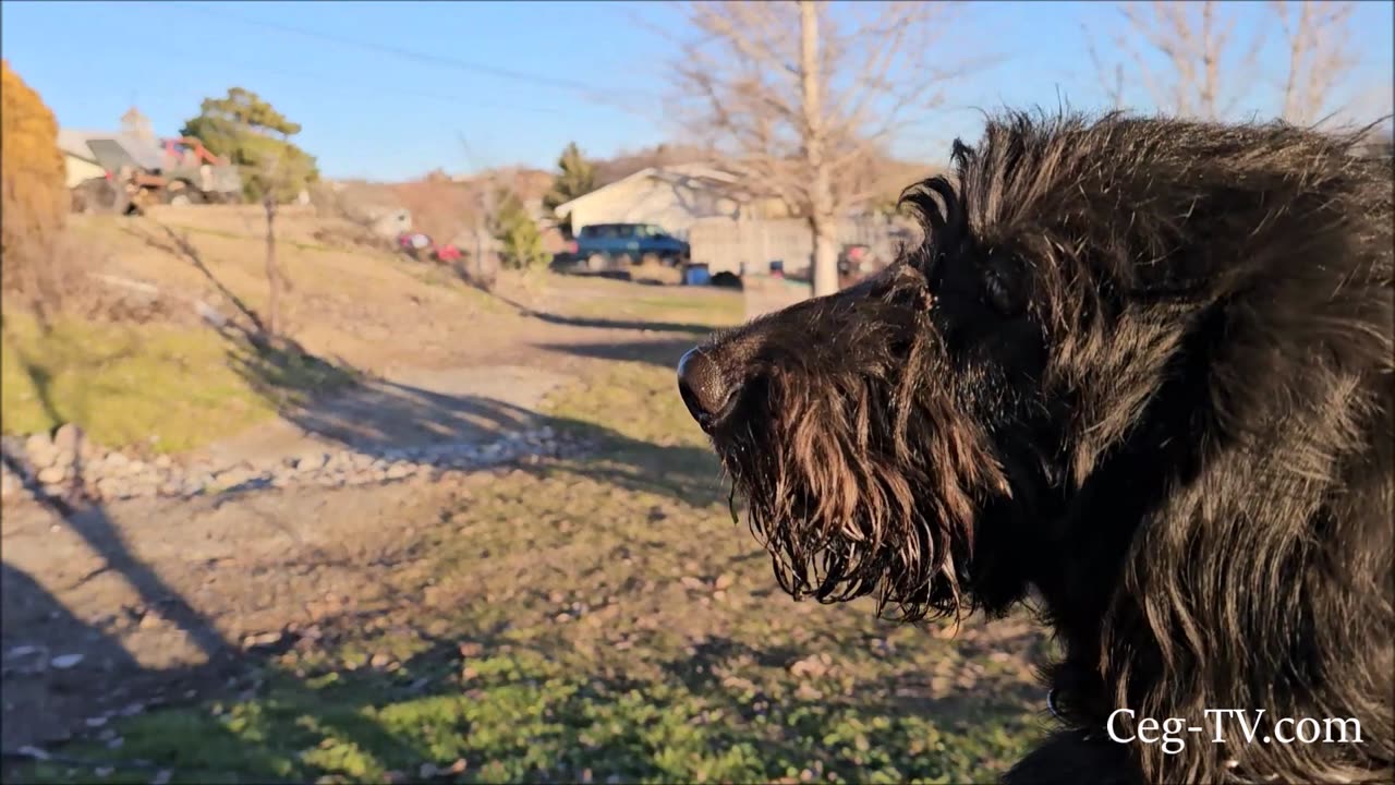 Graham Family Farm: A Beautiful Sunday