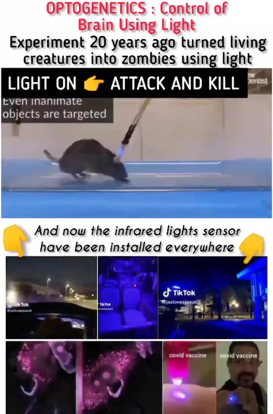 What's up with the purple light?