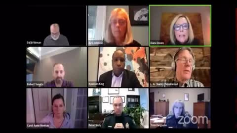 Ottawa city council meeting complaining about the honking!