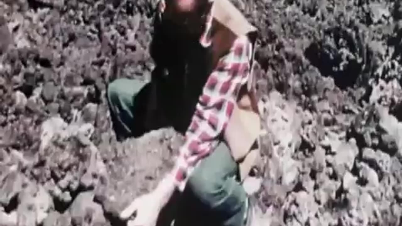 The legend of bigfoot 1974 Documentary