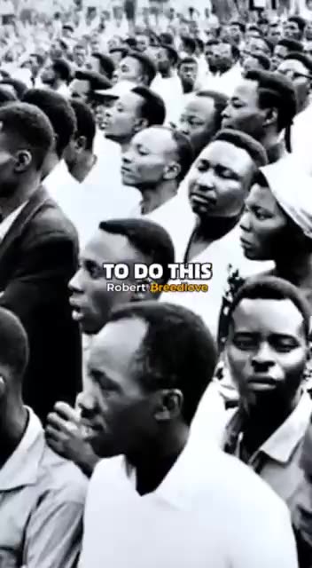 IMF - Modern Slavey 101