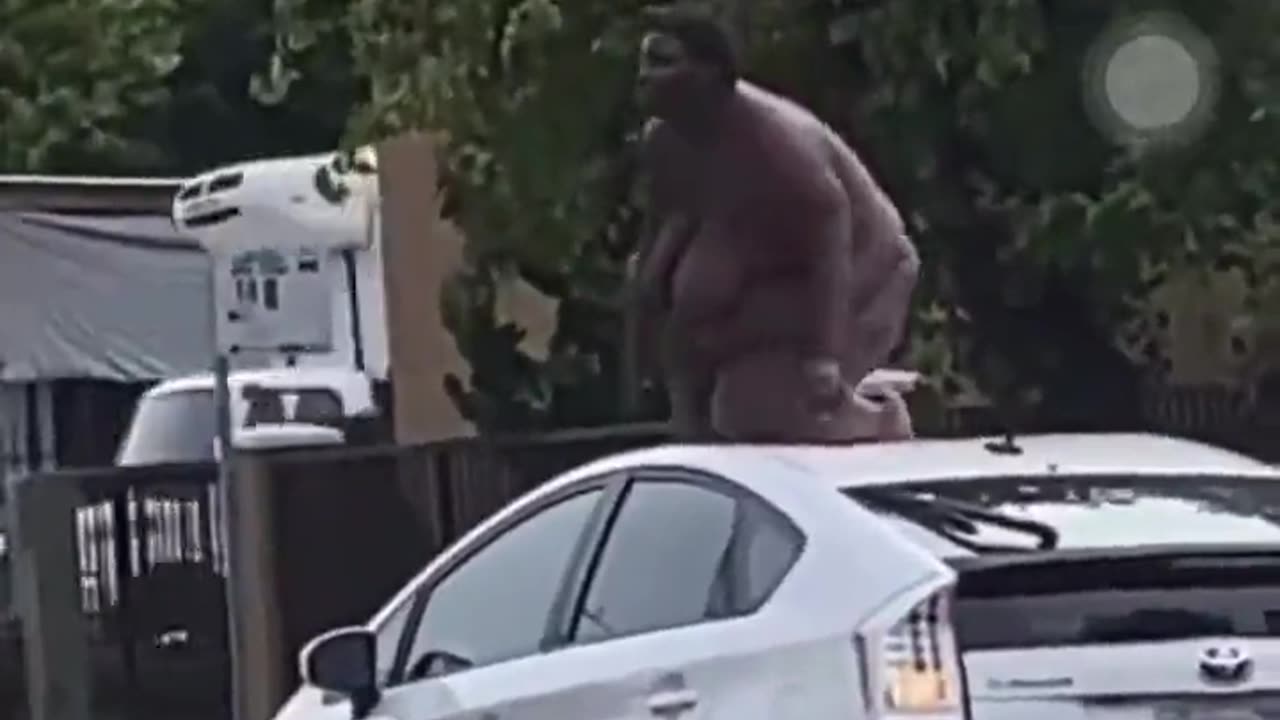 Fat Kong 4x4
