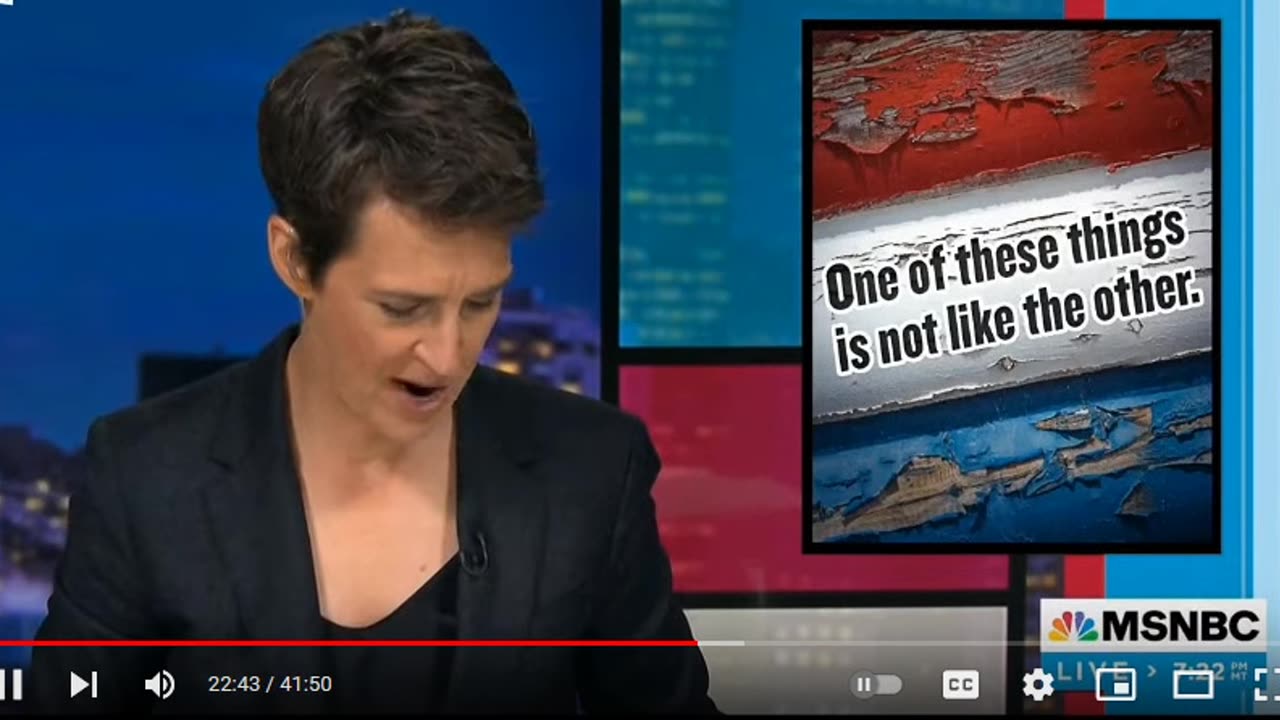 Did A Racist Far-Right Blogger Talk Elon Into Buying Twitter To Kill It? Maddow Delves Into That