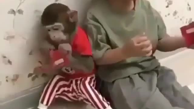Children and monkeys