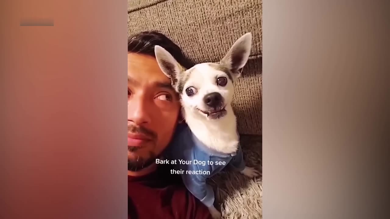 Where is the Floof? - Wake and Search! Funny Animal Cute Catš¤£