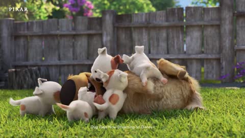 Dug Days’ Director and Producers’ Favorite Disney+ Shows to Watch with Dogs Pixar