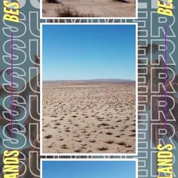 Profitable Ventures Begin Here: Unique Vacant Lot for Sale for Discerning Investors - Ancestry Lands