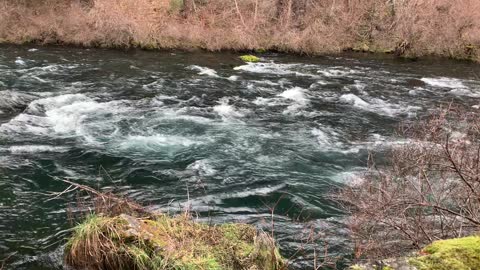 Beautiful Wilderness River Hiking – Metolius River – Central Oregon