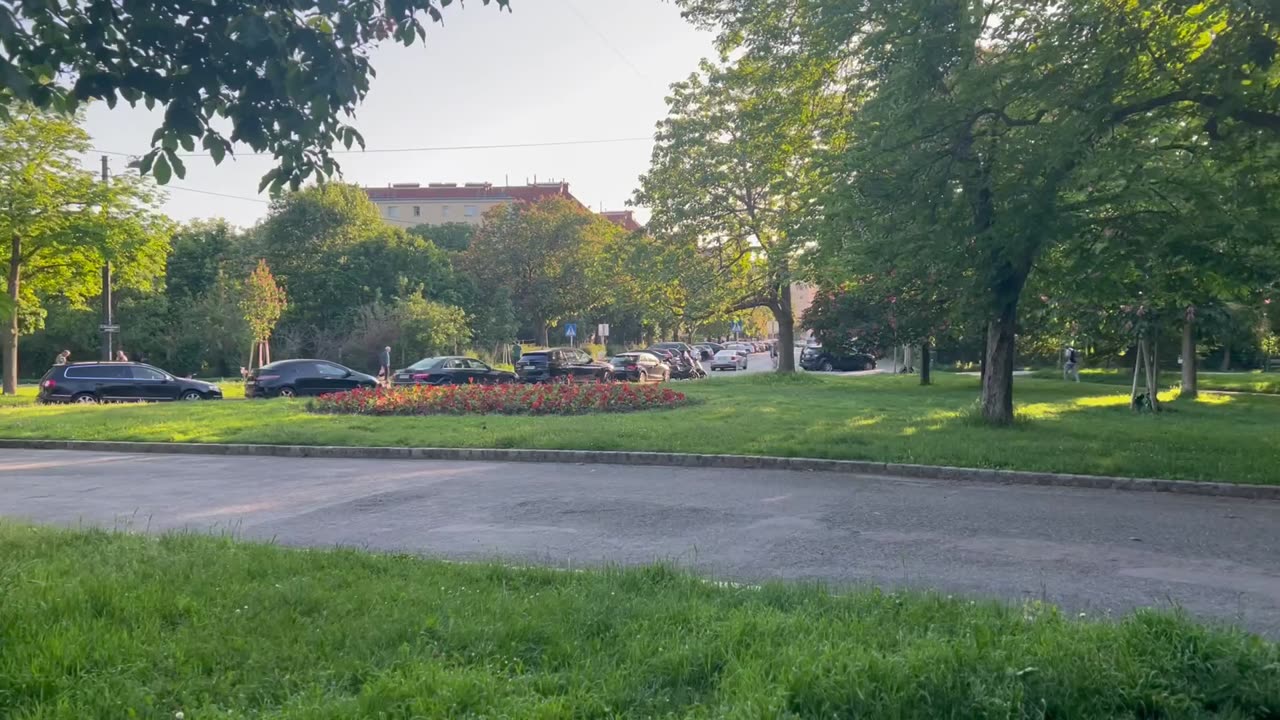 Park on a sunny day