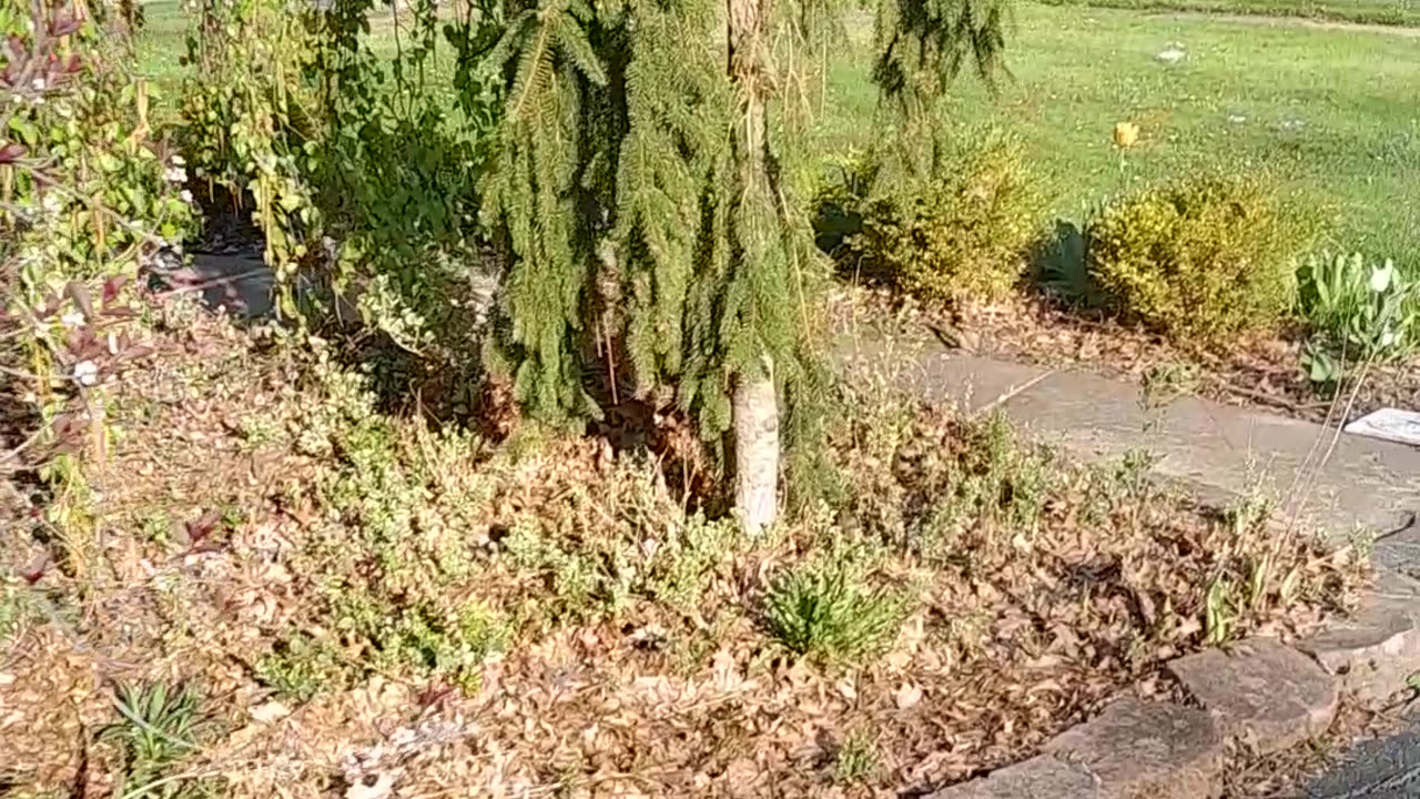 Waterproofing Part One