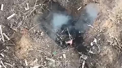We Kill Russian Soldiers Everyday