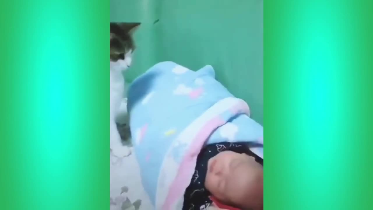 The Best Funny Cat Videos Of The 2023 - Funny Cats Compilation #17