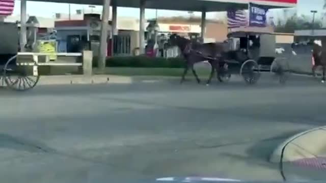 Extreme Ultra MAGA Amish