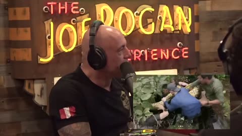 What's The BIGGEST Anaconda Ever Joe Rogan & Paul Rosolie