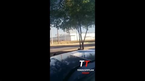 Ovidio Guzman Captured Culiacanazo 2.0